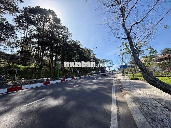 Chính chủ bán đất 1091m2 view đồi thông tại Đường 3/4, Đà Lạt