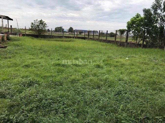 Đất Hóc Môn 10x32m Nở Hậu, Tặng 100m2, Hẻm Xe Tải, Giá Đáy 6.49 Tỷ