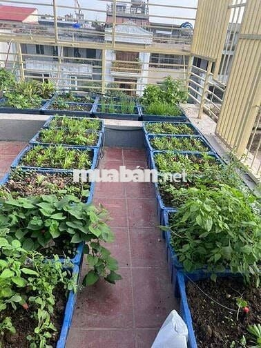 CHO THUÊ MẶT BẰNG KHU ĐÔ THỊ VĂN PHÚ NGUYÊN CĂN