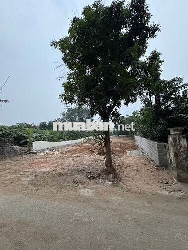 BÁN LÔ ĐẤT 592M CẠNH QL21A CHƯƠNG MỸ HÀ NỘI