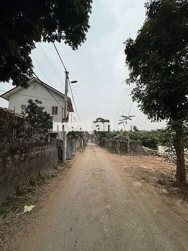 BÁN LÔ ĐẤT 592M CẠNH QL21A CHƯƠNG MỸ HÀ NỘI