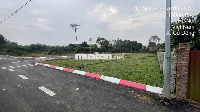 Mở bán dự án 14 lô đất nền Trại Hồ, Cổ Đông, chỉ từ 28tr/m2