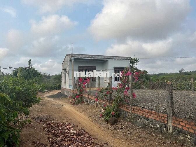 ĐẤT ĐẸP QUỐC LỘ 29 (PHÚ YÊN- ĐĂK LĂK)