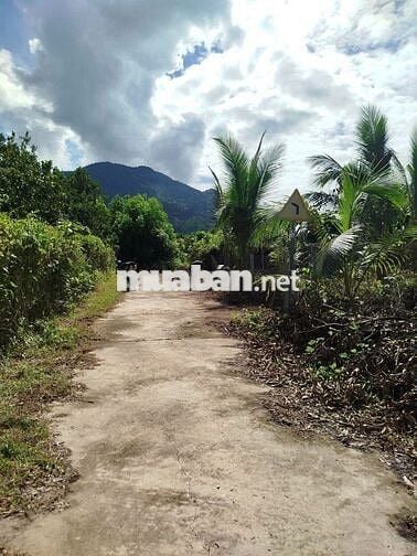 Bán Đất Dân Cư chỉ 530 triệu tại Thôn Suối Sâu-Khánh Đông- Khánh Vĩnh