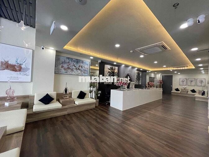 CƠ HỘI VÀNG!!!! BIỆT THƯ KHU PHAN XÍCH LONG NGANG 8M CÓ HẦM SD 800M2