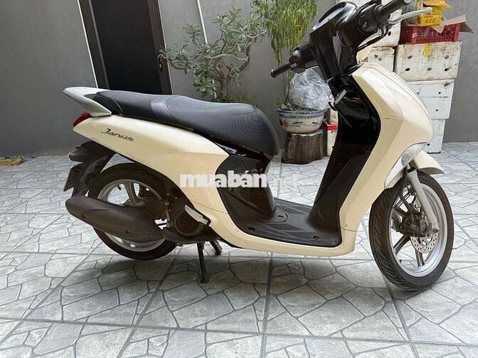 Yamaha Janus Trắng kem