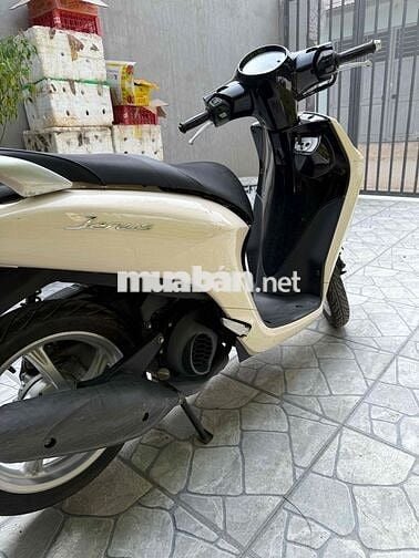 Yamaha Janus Trắng kem