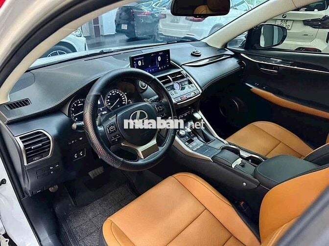 Lexus NX300 2019