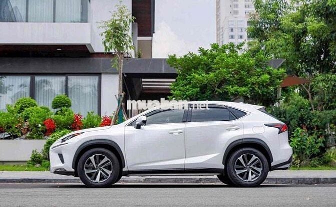 Lexus NX300 2019