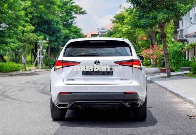 Lexus NX300 2019