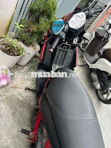 xe giấy tờ đầy đủ