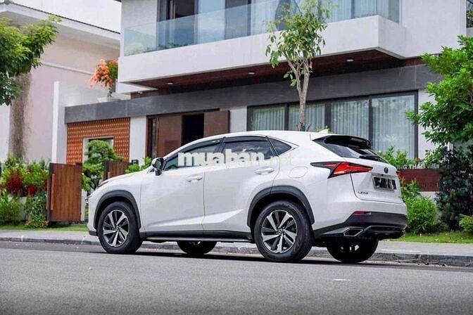 Lexus NX300 2019