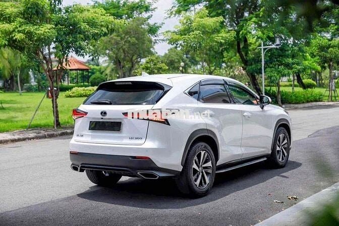 Lexus NX300 2019