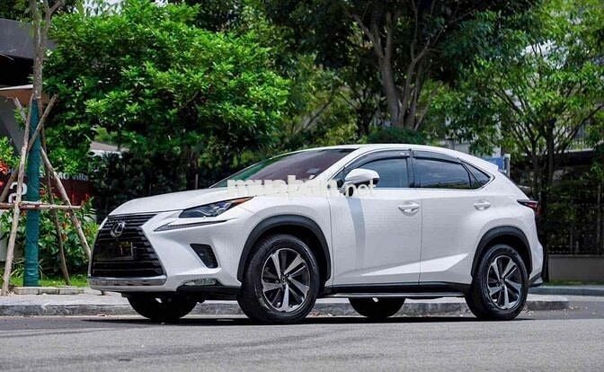 Lexus NX300 2019