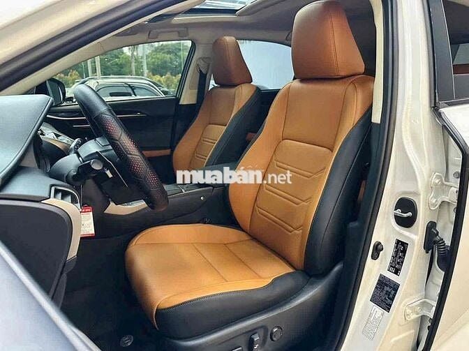 Lexus NX300 2019