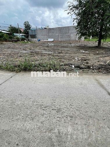 Đất tại Cần Giuộc 680tr | Cách TPHCM chỉ 9km | giỏ hàng hơn 100 nền.