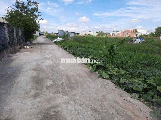 Đất tại Cần Giuộc 680tr | Cách TPHCM chỉ 9km | giỏ hàng hơn 100 nền.