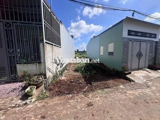 TÂN HÒA – HẺM PHẠM VĂN ĐỒNG GIÁ 1.450🧄( Cách chợ đầu mối Tân Hoà chỉ 6