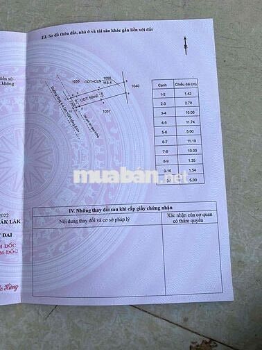 TÂN HÒA – HẺM PHẠM VĂN ĐỒNG GIÁ 1.450🧄( Cách chợ đầu mối Tân Hoà chỉ 6