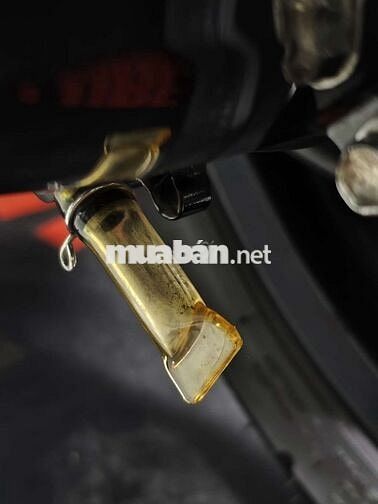 Yamaha Janus 2024 Trắng