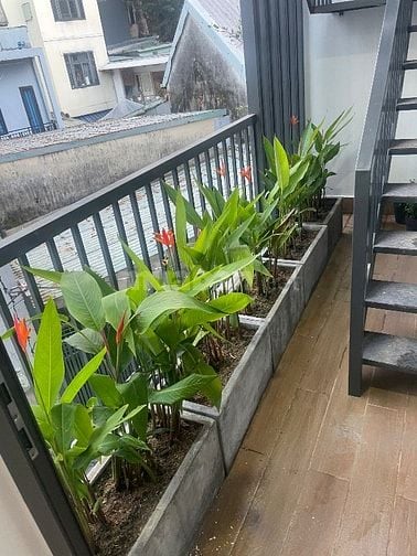 Nhà trung tâm Đà Nẵng ( Mr Cường:0939394802)