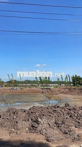Đất view sông Tiền Giang 300m² có thổ cư, bao san lấp đẹp, giá 420Tr