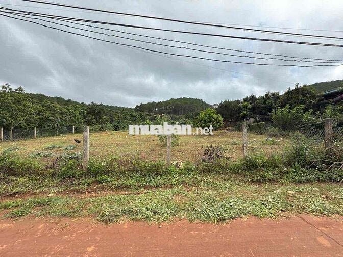 Bán lô đất cực đẹp thích hợp đầu tư nghỉ dưỡng