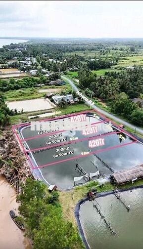 Đất view sông Tiền Giang 300m² có thổ cư, bao san lấp đẹp, giá 420Tr