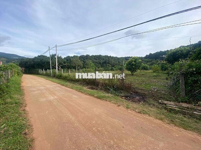 Bán lô đất cực đẹp thích hợp đầu tư nghỉ dưỡng