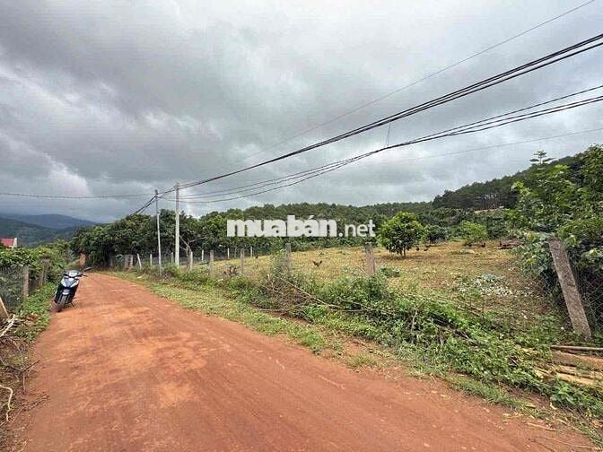 Bán lô đất cực đẹp thích hợp đầu tư nghỉ dưỡng