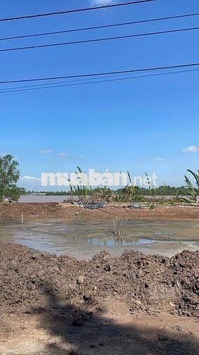 Đất view sông Tiền Giang 300m² có thổ cư, bao san lấp đẹp, giá 420Tr