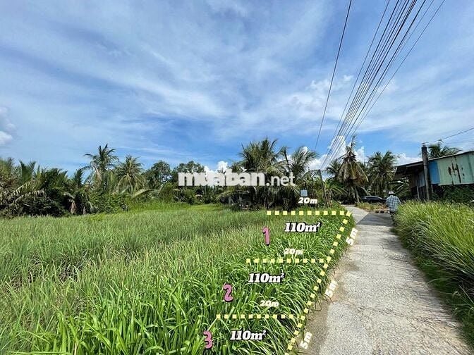 Đất thổ cư 115m² giá 180 triệu cù lao Tân Phú Đông, ô tô vào tận nơi