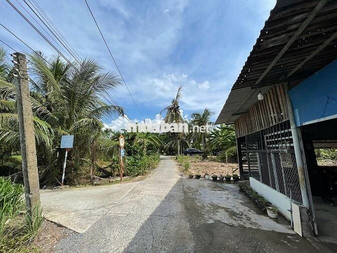 Đất thổ cư 115m² giá 180 triệu cù lao Tân Phú Đông, ô tô vào tận nơi