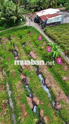 Đất thổ cư 115m² giá 180 triệu cù lao Tân Phú Đông, ô tô vào tận nơi