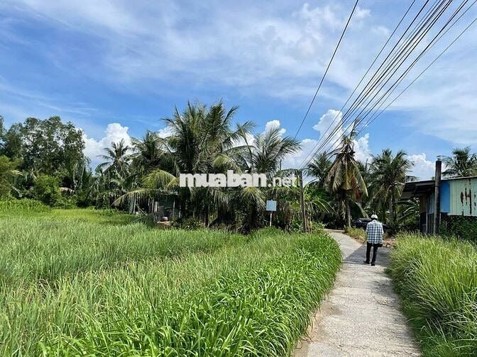 Đất thổ cư 115m² giá 180 triệu cù lao Tân Phú Đông, ô tô vào tận nơi