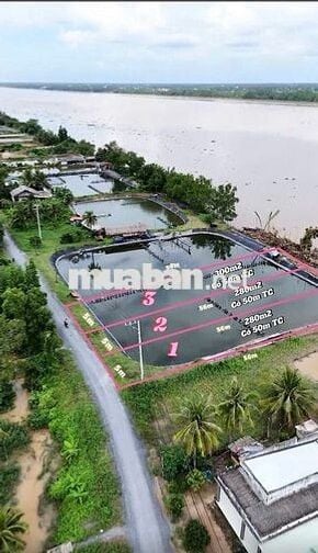 Đất view sông Tiền Giang 300m² có thổ cư, bao san lấp đẹp, giá 420Tr