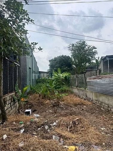 đất ngộp đường 25 tân hưng - bà rịa 