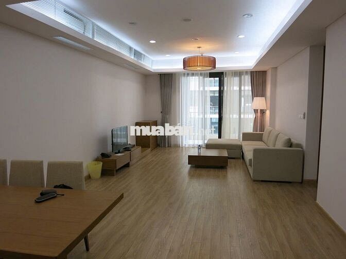 Cho thuê CH Dolphin Plaza, Trần Bình 133m2 2PN full đồ đẹp chỉ 16tr/th