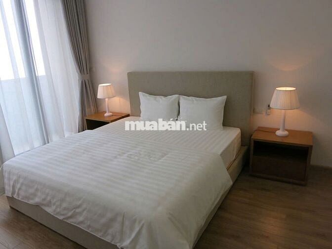 Cho thuê CH Dolphin Plaza, Trần Bình 133m2 2PN full đồ đẹp chỉ 16tr/th