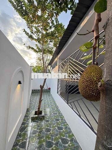 NHÀ VƯỜN MINI 12* 12  3PN 2WC GIỮ SỔ CHÍNH 1/ NGUYỄN THỊ NGÂU