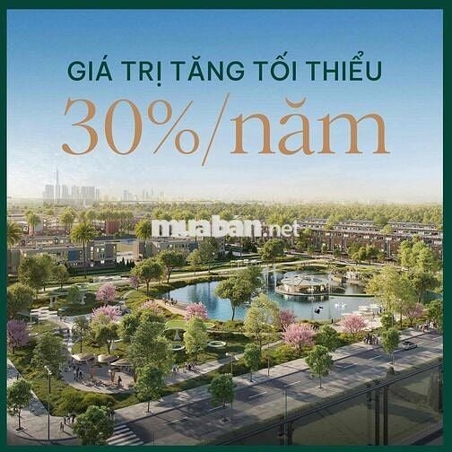 The Solia 190 triệu – Đất nền mặt tiền DT830, Vành Đai 4 Bến Lức