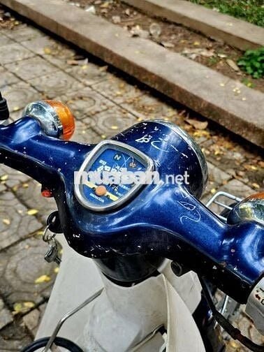 Honda Cup 81 1993 Xanh Cửu Long