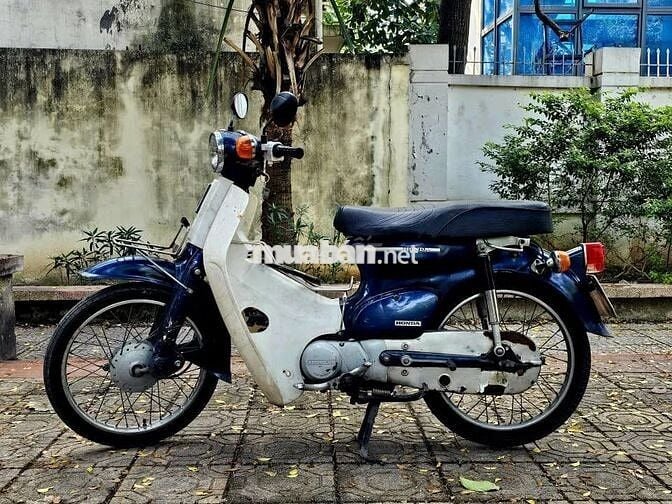 Honda Cup 81 1993 Xanh Cửu Long