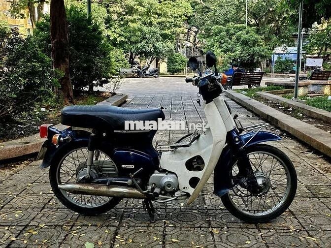 Honda Cup 81 1993 Xanh Cửu Long