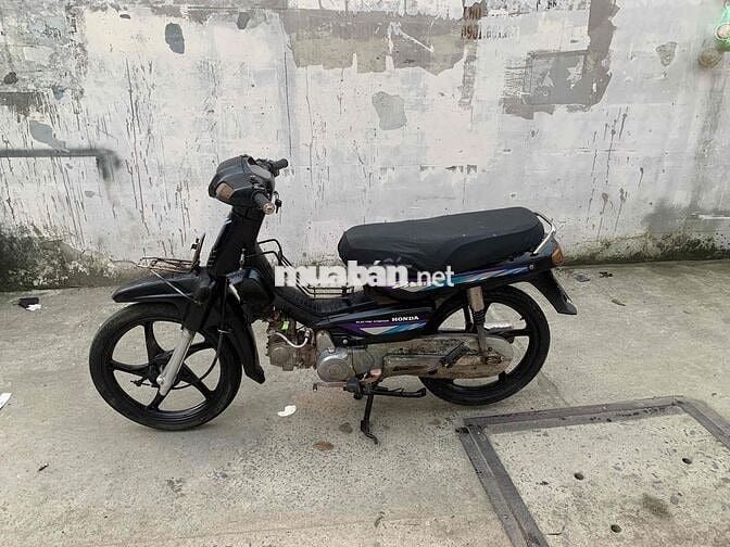 dream nhật có giấy biển thành phố