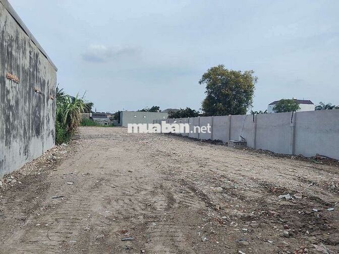 Xưởng cho thuê Xuân Thới Sơn hóc môn DT 1000m giá 25tr