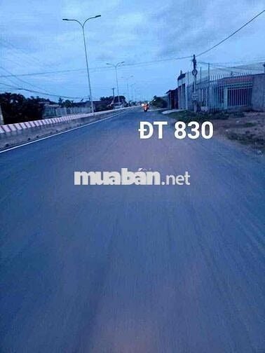 BÁN ĐẤT 1ha MẶT TIỀN TL 830B –Long An