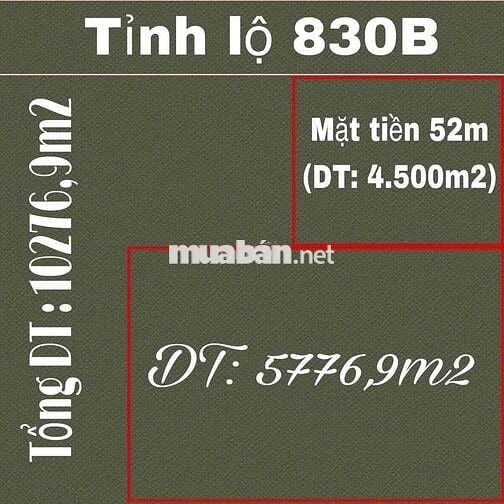 BÁN ĐẤT 1ha MẶT TIỀN TL 830B –Long An
