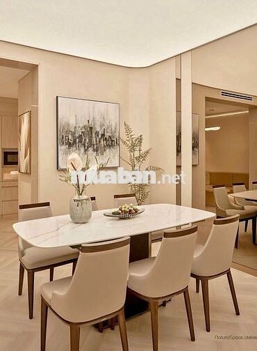 Siêu Phẩm CHDV Full Nội Thất, Cách Mạng Tháng Tám, Phường 12, Quận 10