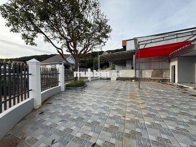 Cho thuê nhà Biệt Thự Xuân Trường